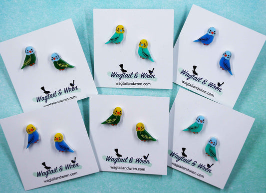 Budgie Stud Earrings